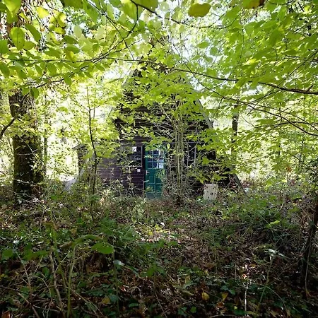 Het Mooiste In Prázdninový dům Durbuy